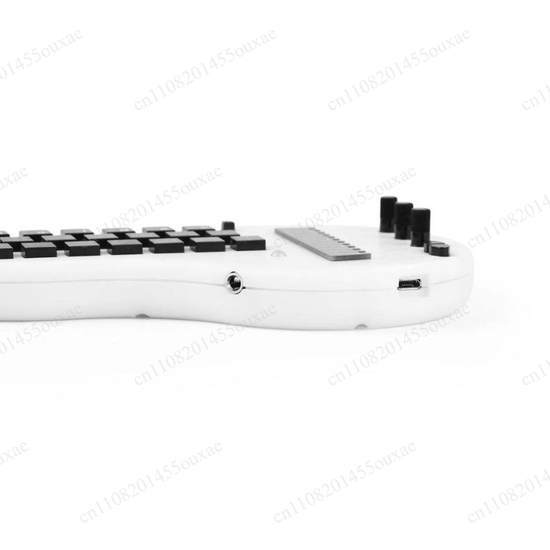 Synthesizer Minichord Sumber T - Musical Instrument Synthesizer ulasan dan harga