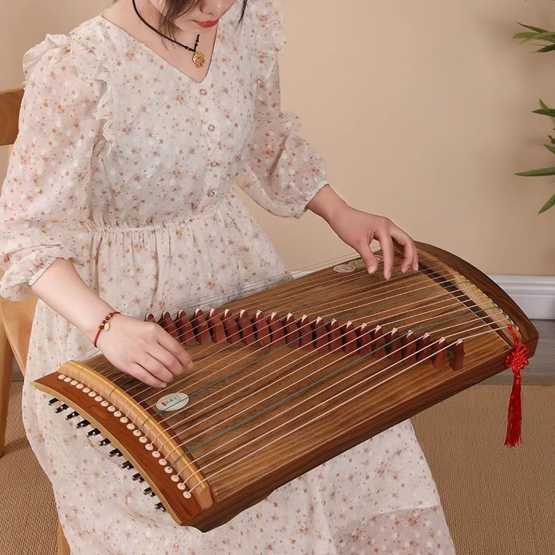 Guzheng Kecil 70/100cm Portabe - Musical Instrument Guzheng ulasan dan harga